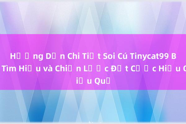 Hướng Dẫn Chi Tiết Soi Cú Tinycat99 Bet_ Tìm Hiểu và Chiến Lược Đặt Cược Hiệu Quả