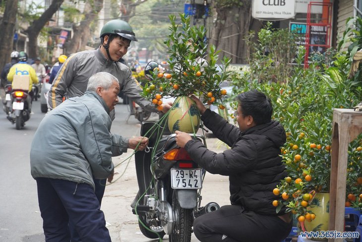 Cúc mâm xôi Sa Đéc tràn phố phường Hà Nội， giá hấp dẫn - Ảnh 6.