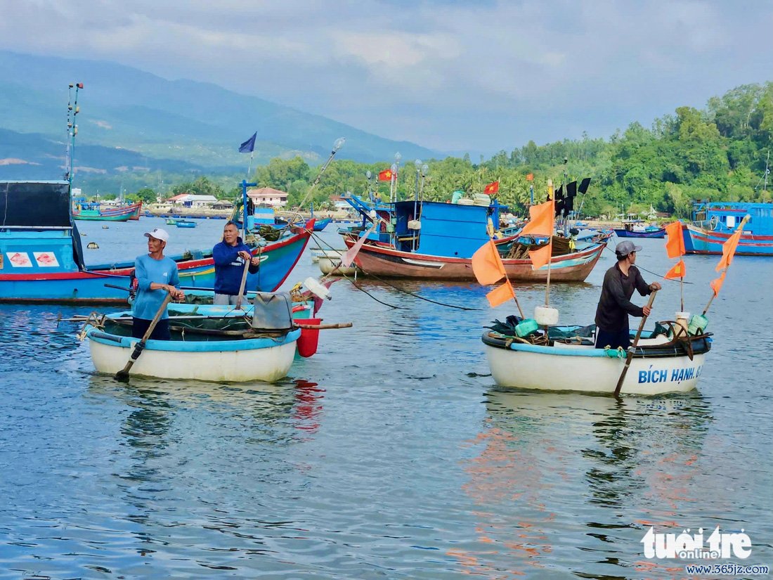 Chong đèn thâu đêm săn tôm hùm giống - Ảnh 3.