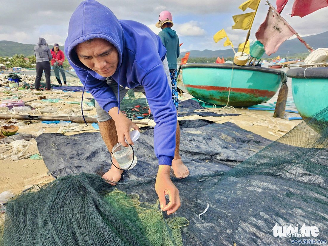 Chong đèn thâu đêm săn tôm hùm giống - Ảnh 7.