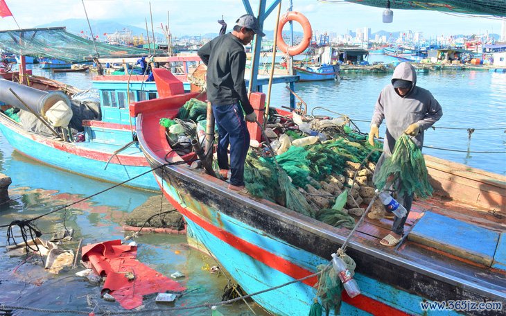 Chong đèn thâu đêm săn tôm hùm giống - Ảnh 5.