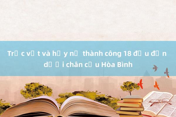 Trục vớt và hủy nổ thành công 18 đầu đạn dưới chân cầu Hòa Bình