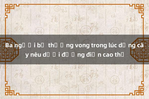 Ba người bị thương vong trong lúc dựng cây nêu dưới đường điện cao thế